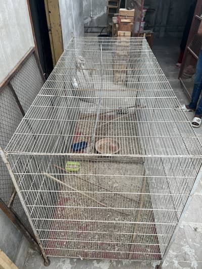 Flying Cage for Cocktails and All Birds