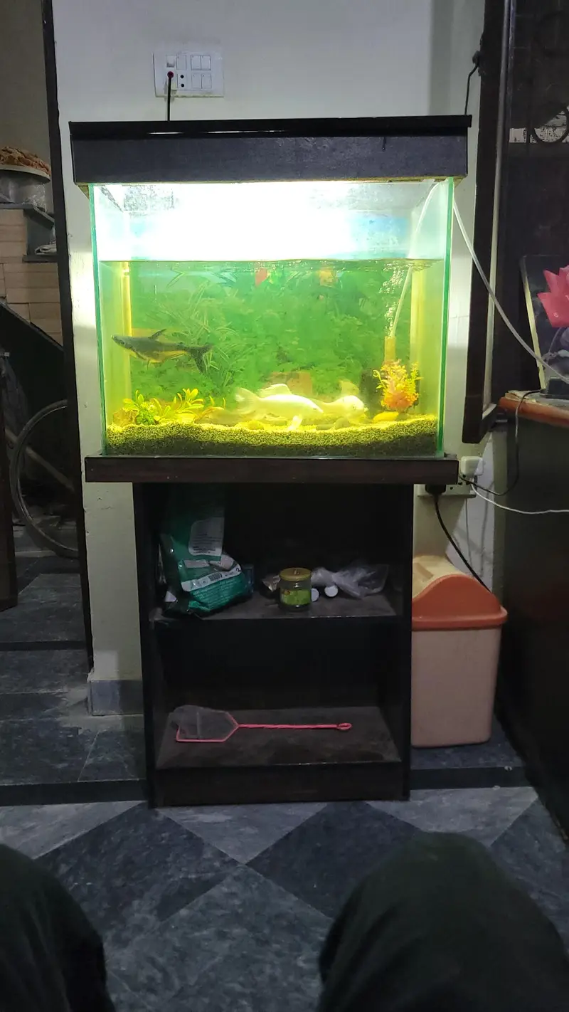 2x1 Feet Aquarium