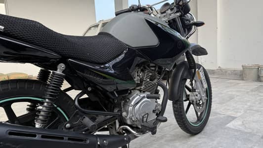 Yamaha YBR 125G 2025 Matt Grey