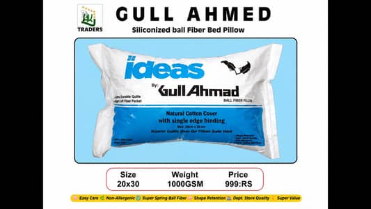 Gull Ahmad pillow