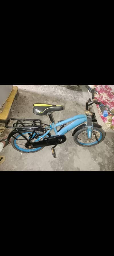 16 size Cycle