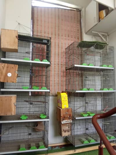 cages for sell