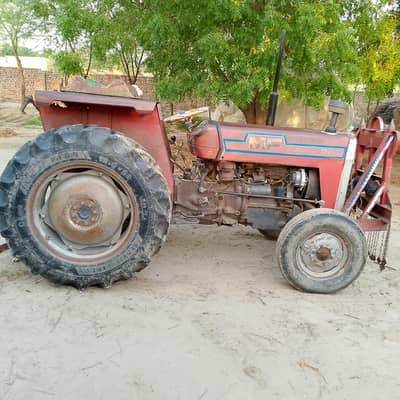 MASI 240