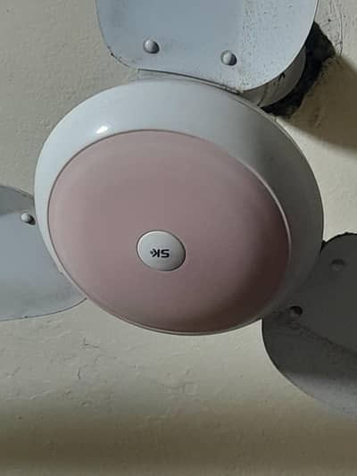 Fan For Sale