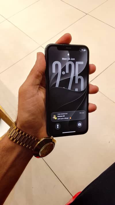 iPhone 11 Pro non pta
