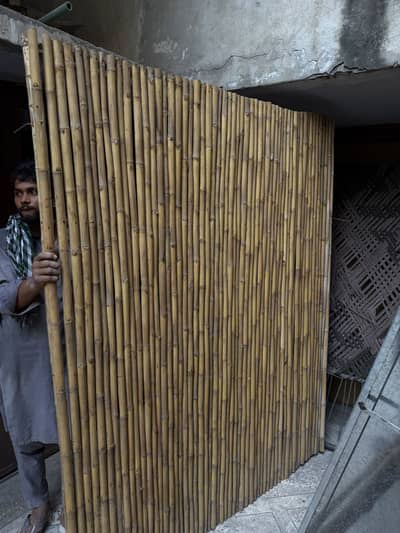bamboo fence