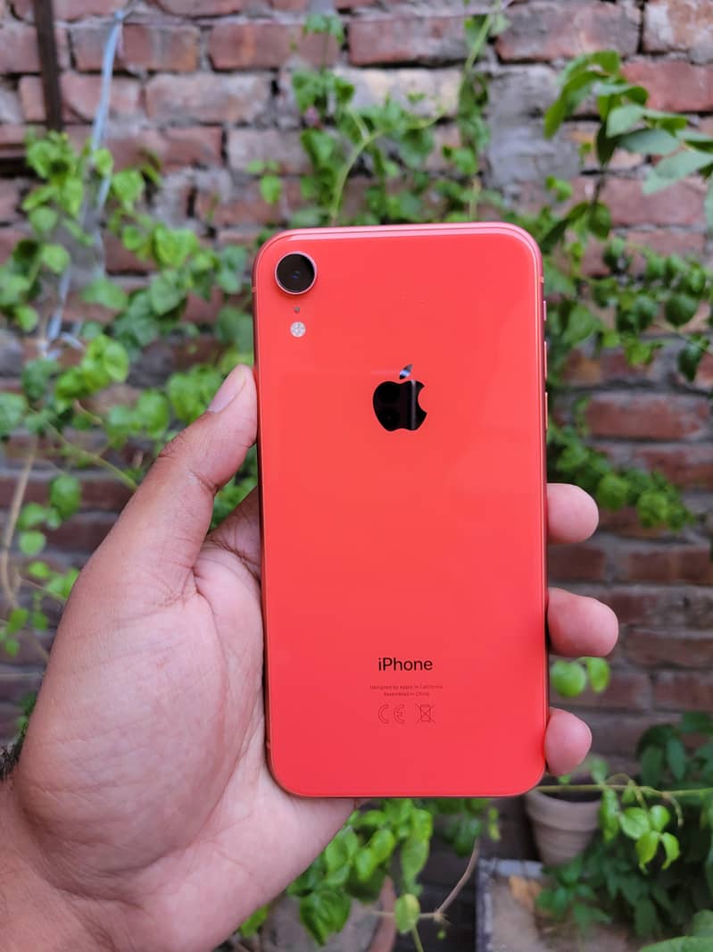 iPhone XR 0