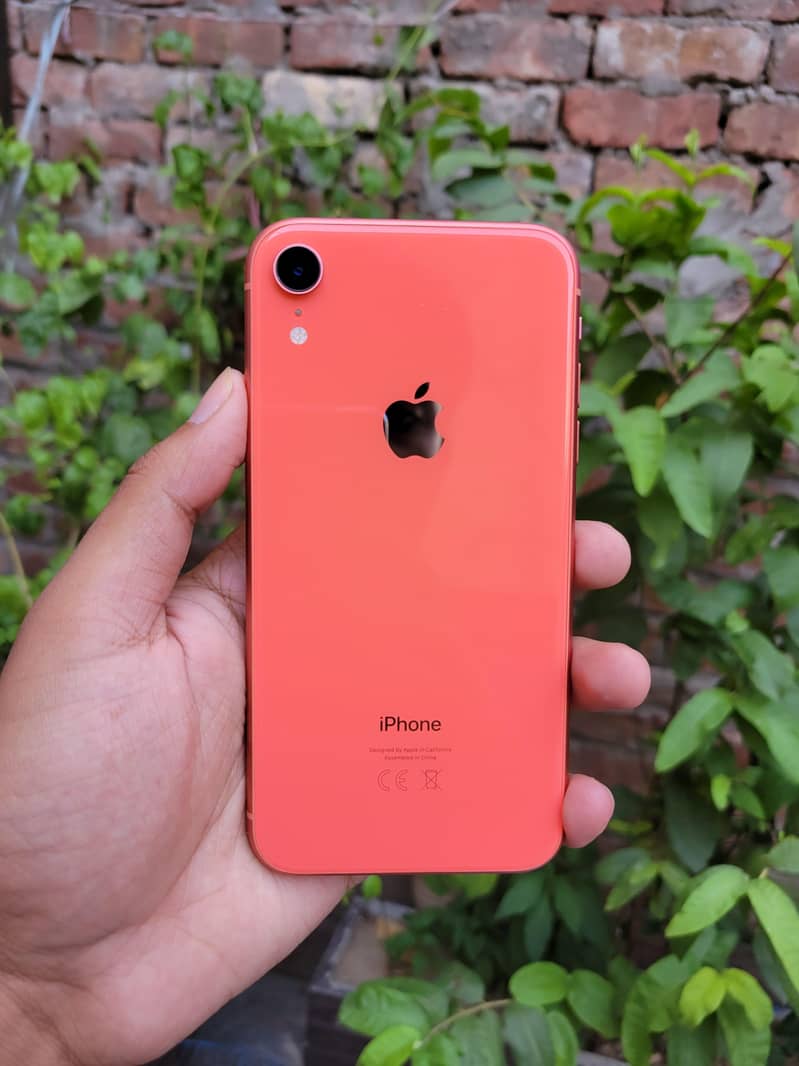 iPhone XR 1