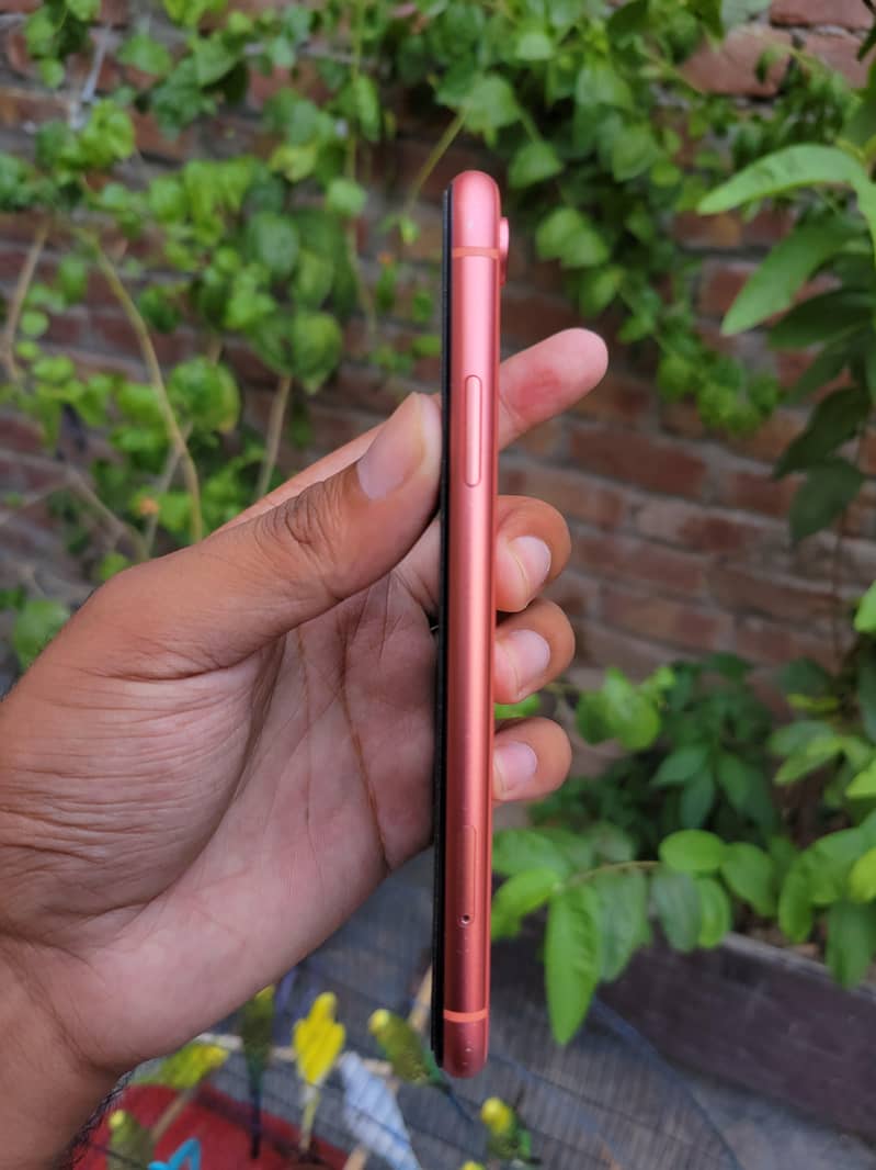 iPhone XR 4