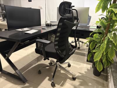 Executive Computer Chair Like New 10/10