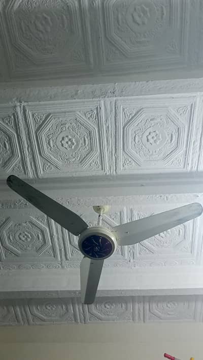 Yunas Fan