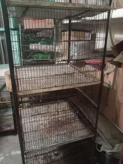 bird cage for sale