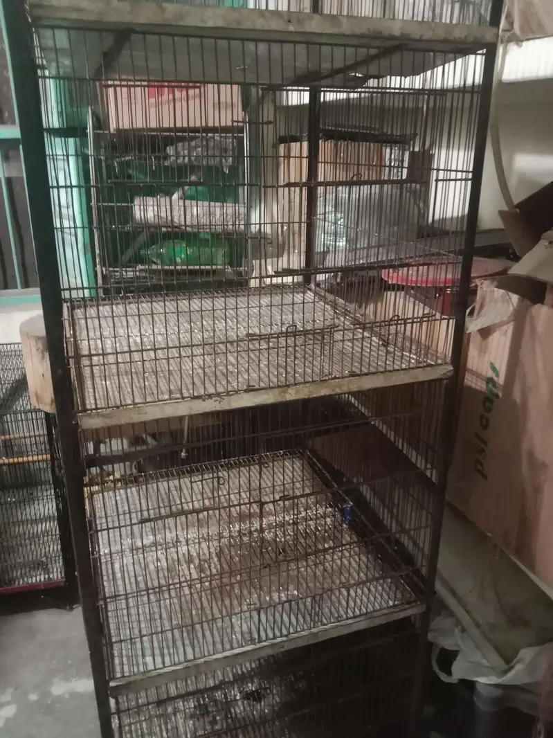 bird cage for sale