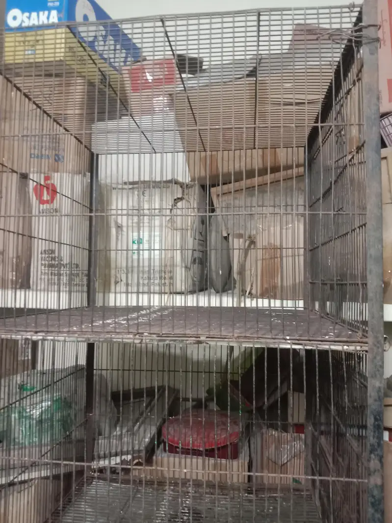 bird cage for sale — photo 3