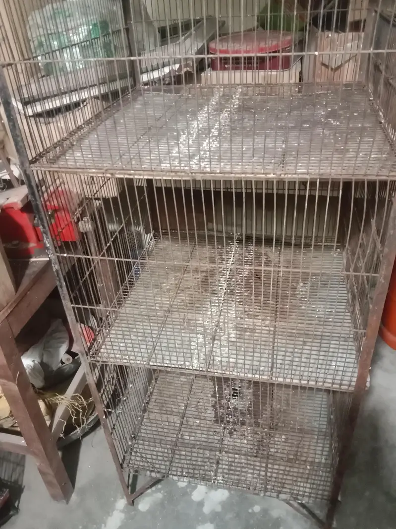 bird cage for sale — photo 4