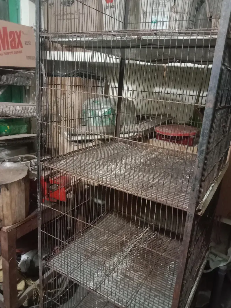 bird cage for sale — photo 5