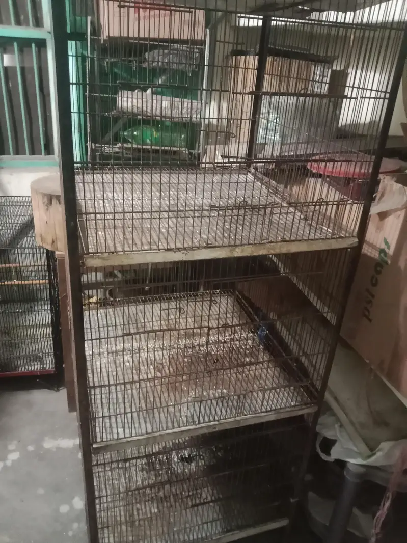 bird cage for sale — photo 6