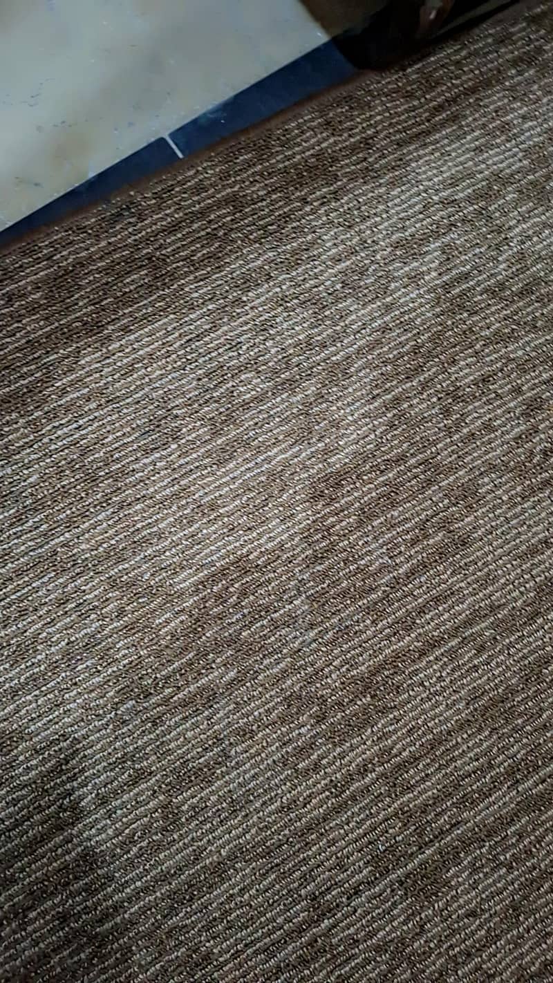 carpet 1