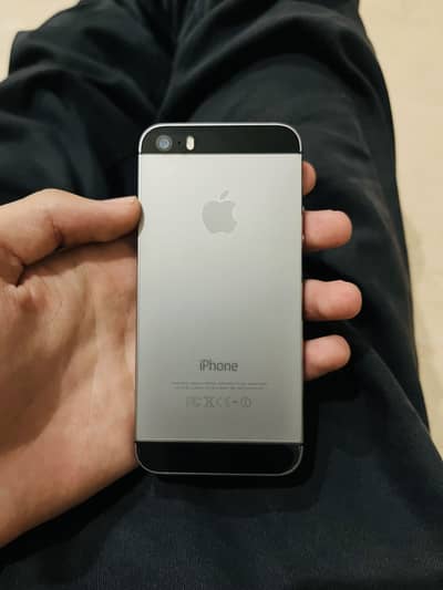 Apple iPhone 5s 64GB minor dot
