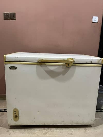 Used Deep Frizer for sell
