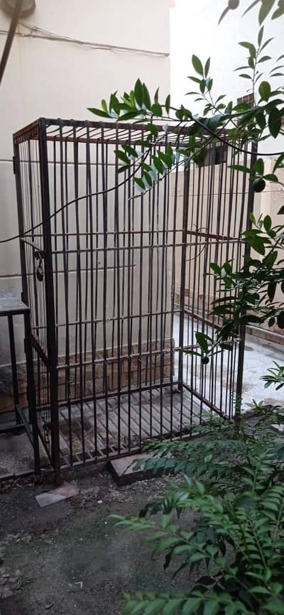 chicken cage