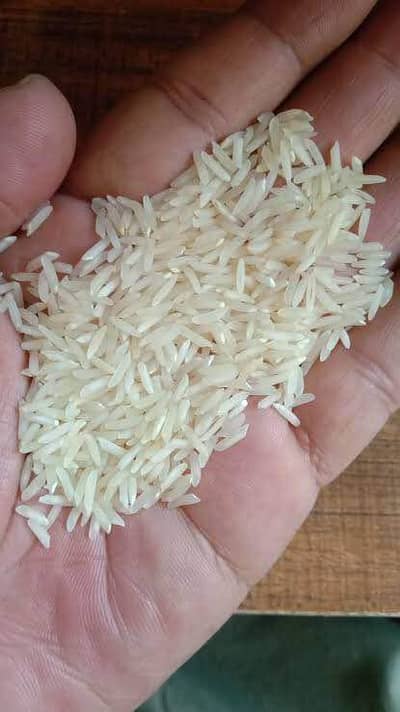 Basmati Rice