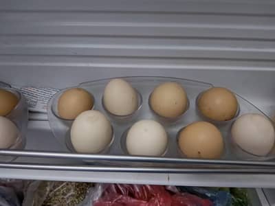 Fresh Pure Desi Eggs For Sale – Rs. 720 Per Dozen | Lahore