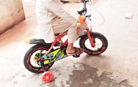 China Import Cycle For Sale