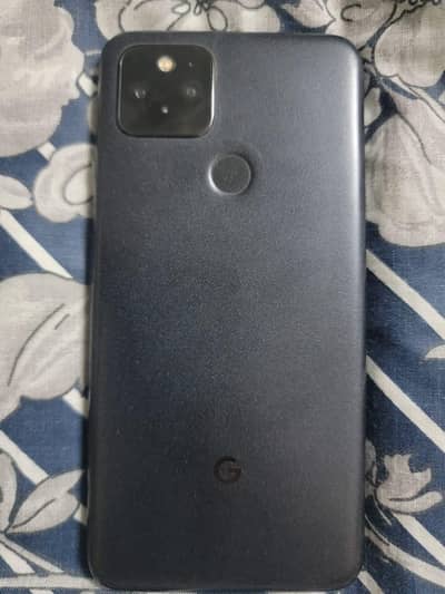 Google Pixel 5 10 by 10 all ok waterpack c. . p