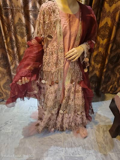 1 fancy dress