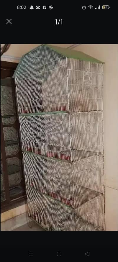 cage best condition