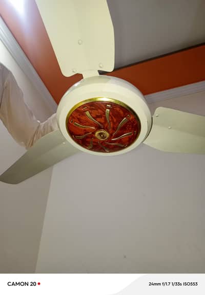 Ajwa Fans AC/DC