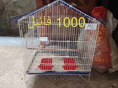 cage pinjra and matki or stick 03008658689 khudda
