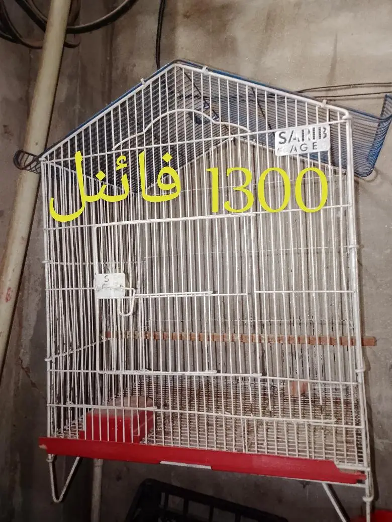 cage pinjra 6 dor and 1 dor and matki stick 03008658689 khudda — photo 3