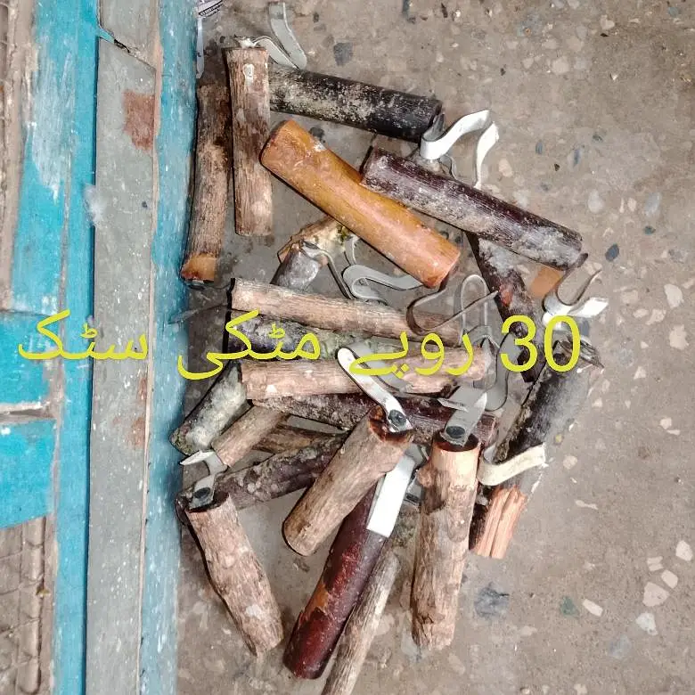 cage pinjra 6 dor and 1 dor and matki stick 03008658689 khudda — photo 4