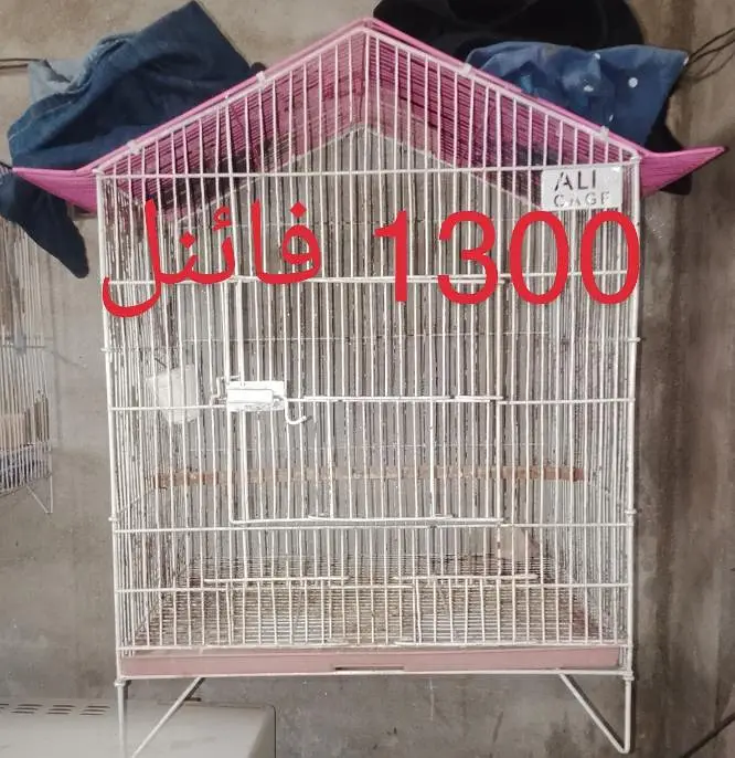 cage pinjra 6 dor and 1 dor and matki stick 03008658689 khudda — photo 7