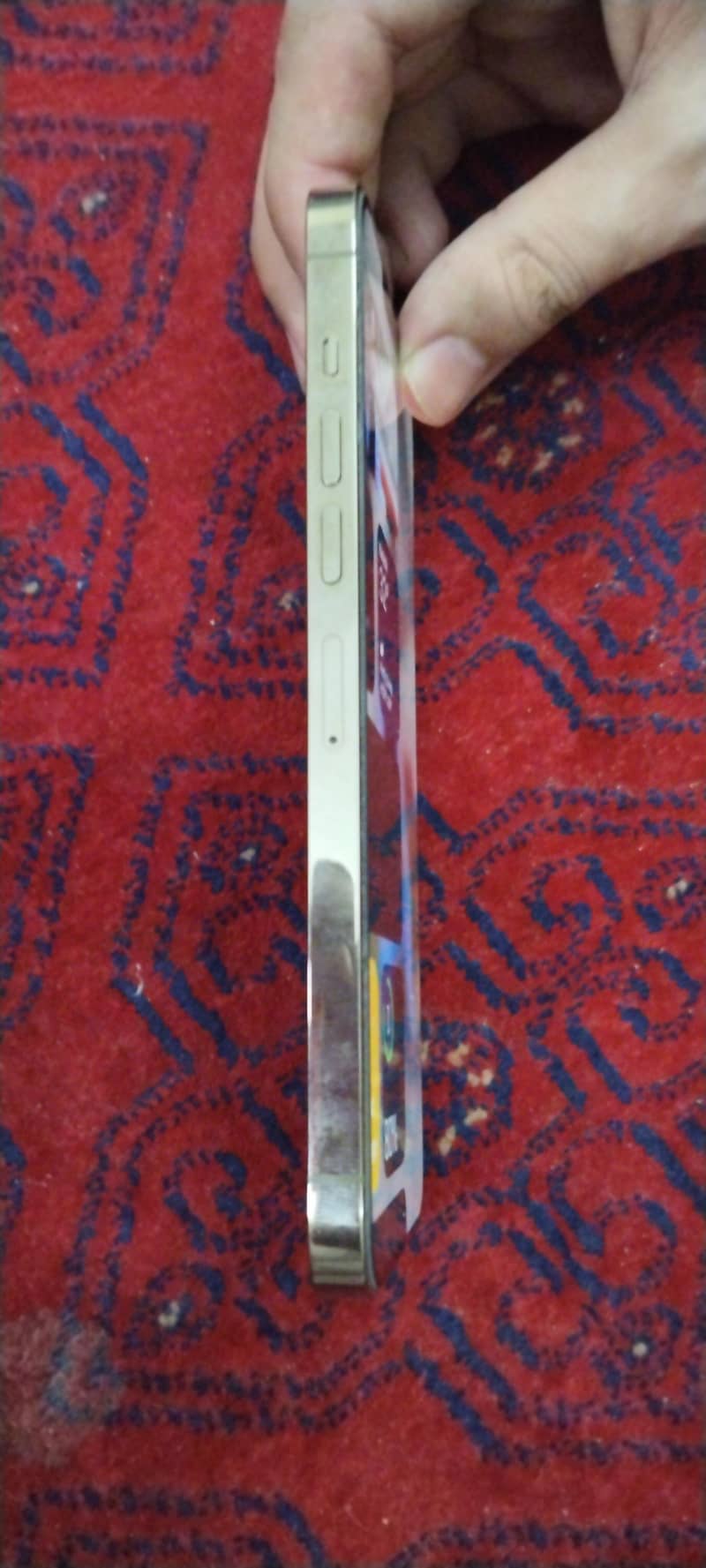 Apple iPhone 13 Pro Max 2