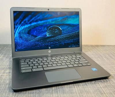 Best Laptop for Work and Study