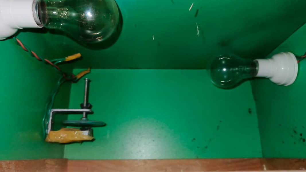 egg machine 0