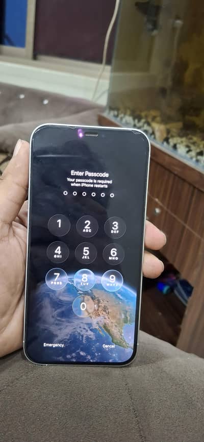 Apple iPhone 12 Pro Max