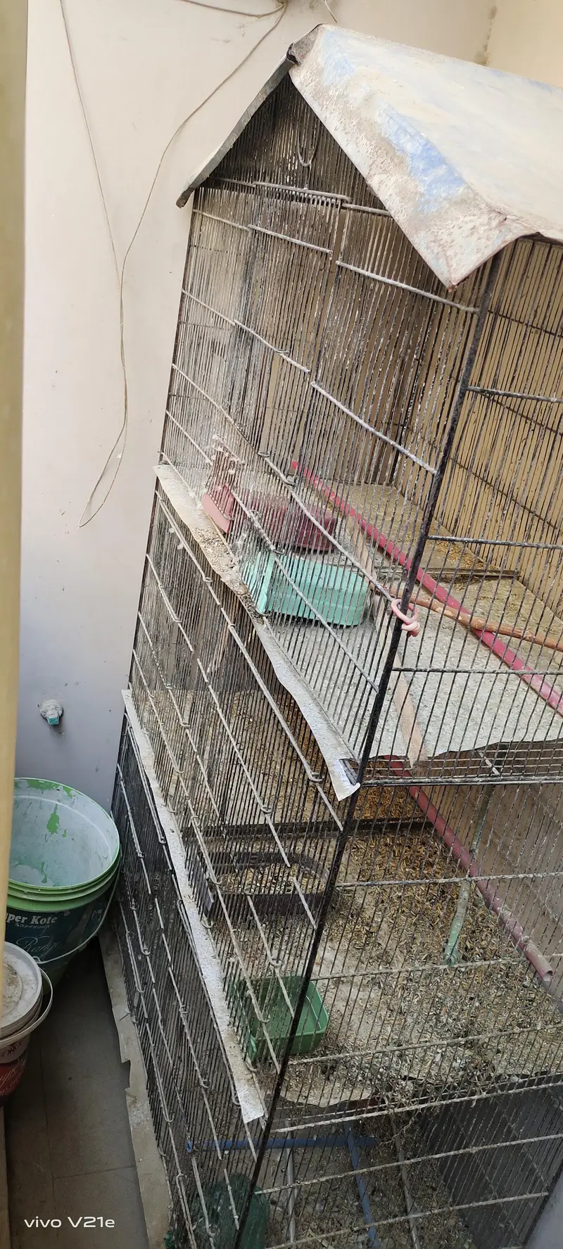 cage for birds — photo 3