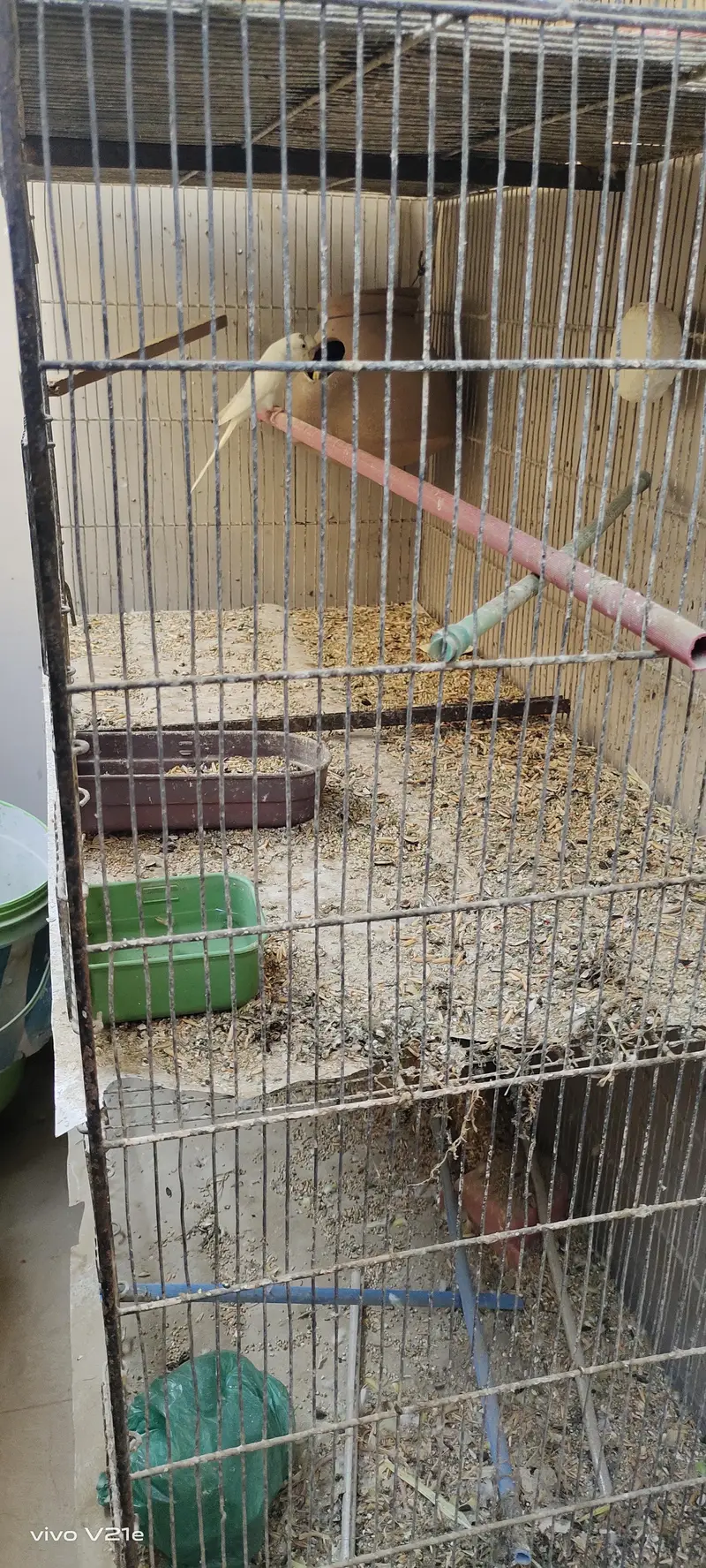 cage for birds — photo 4