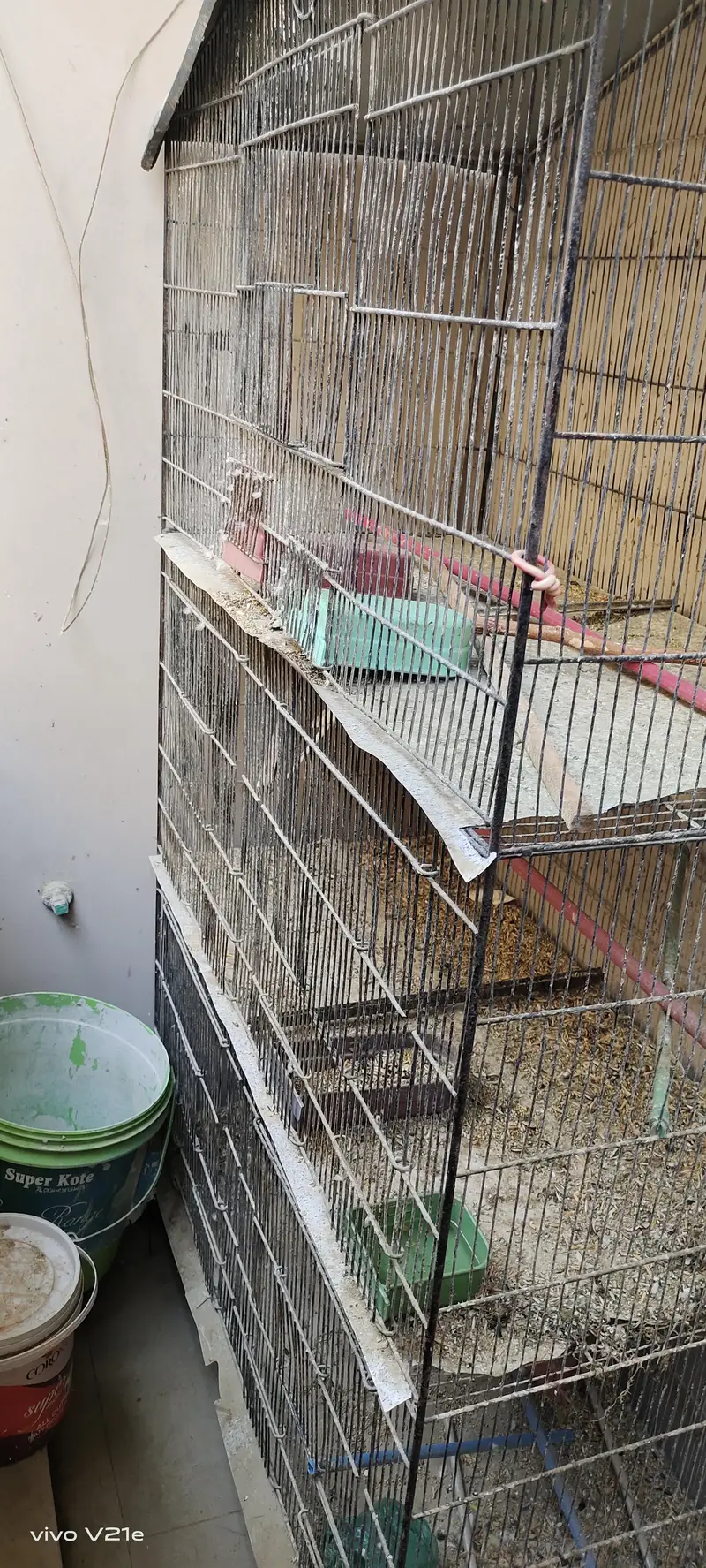 cage for birds — photo 5