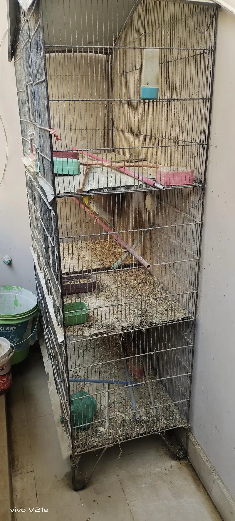 cage for birds — photo 6