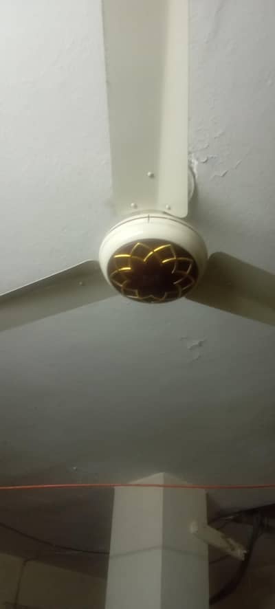 celling fan in working condition