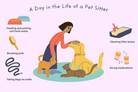 Pets Caretaker