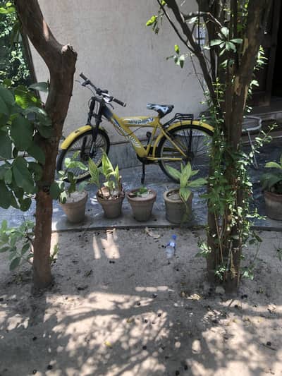 Cycle just like New