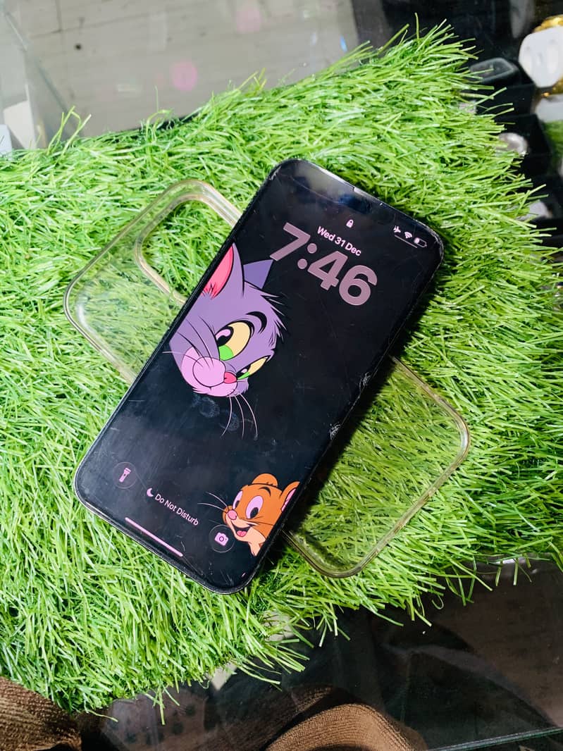 iPhone 13 Pro Max 1
