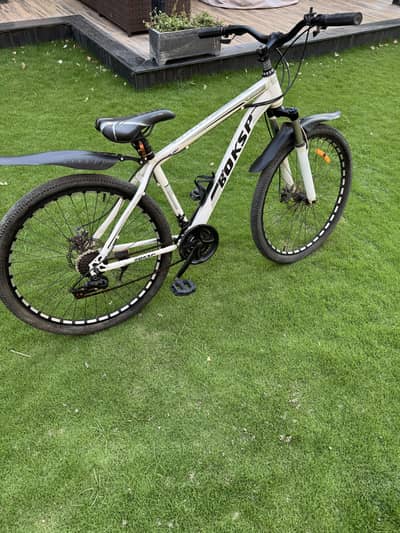 Mountain bike