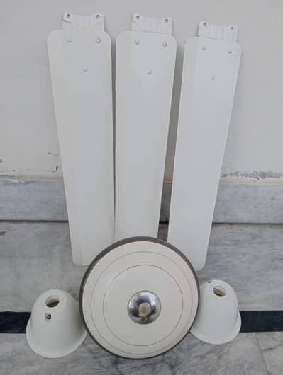 Celling/ Roof Fan